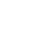 Aarhus University seal